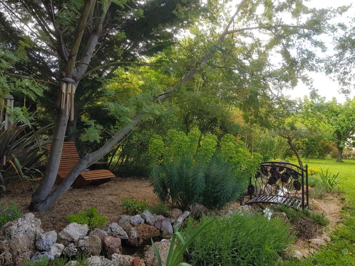 Maison Mimosa Салерн Екстериор снимка