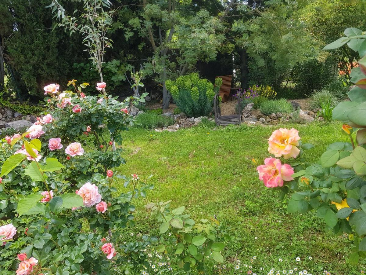 Maison Mimosa Салерн Екстериор снимка